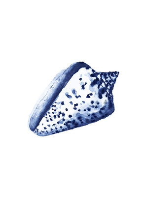 Image Not Available